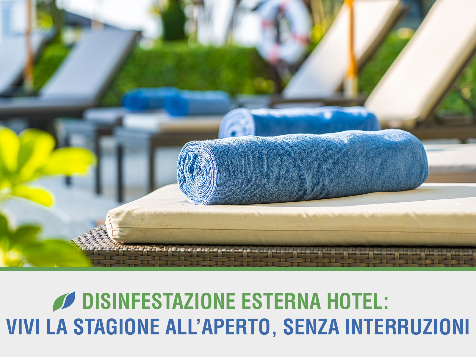 Disinfestazione esterna hotel: vivi la stagione all’aperto, senza interruzioni